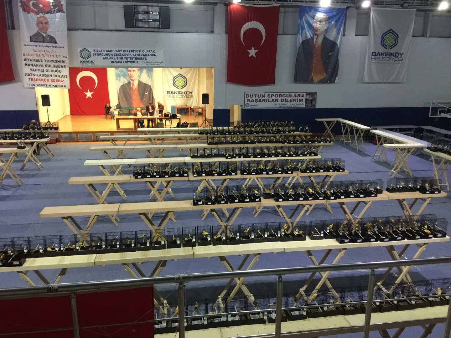 IYCC 2019 show: a balcony view of hundreds of show cages arranged on benches, with the stage behind.