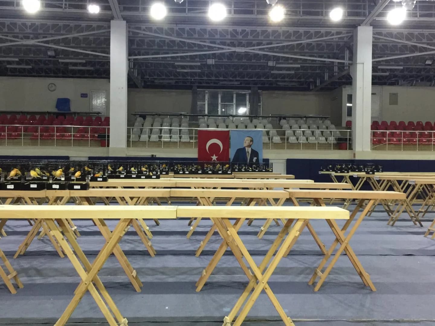 The IYCC 2019 hall: empty wooden benches in front, the stands behind and a few cage rows in the left corner.