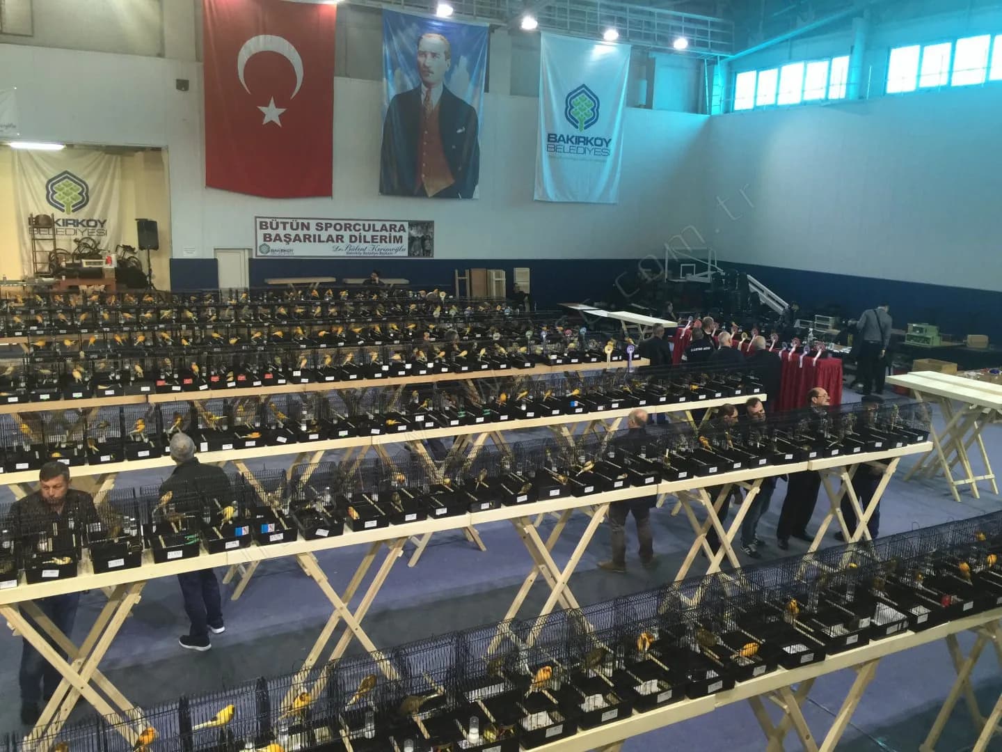 IYCC 2017 yarışmasında kafes sıralarının ardında rozetli kafeslerin durduğu kırmızı örtülü masa ve izleyiciler