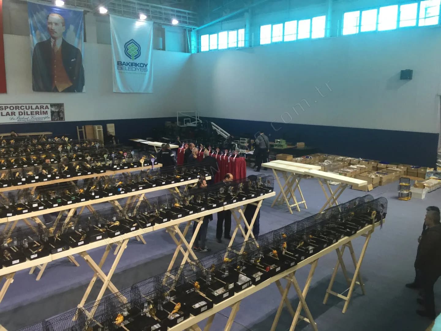 IYCC 2017 yarışmasında kafes sıralarının yanında boş ahşap sehpalar ve salonun köşesine yığılmış taşıma kutuları