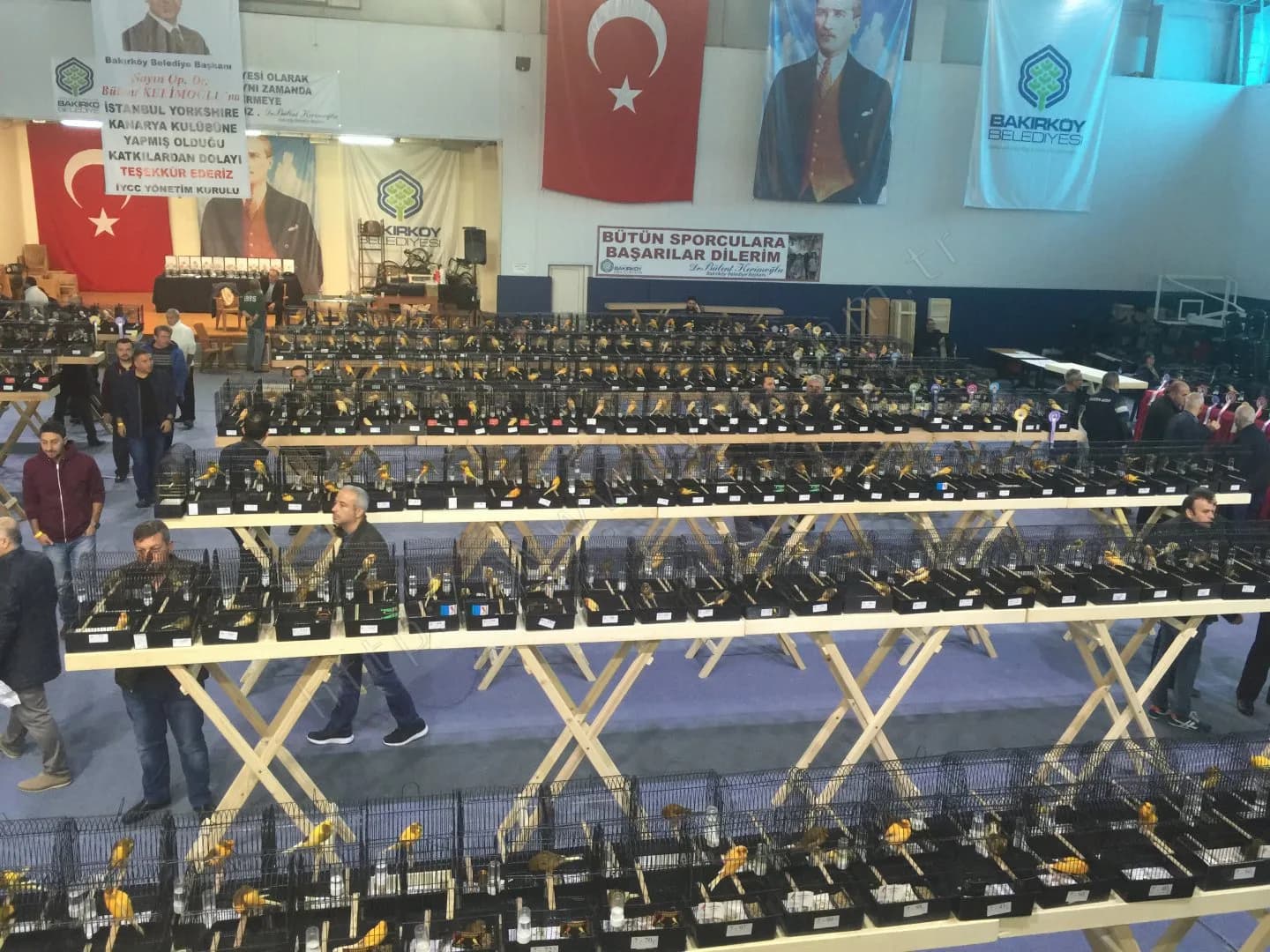 IYCC 2017 yarışmasında IYCC Yönetim Kurulu imzalı teşekkür pankartı altında kafes sıraları ve gezinen ziyaretçiler