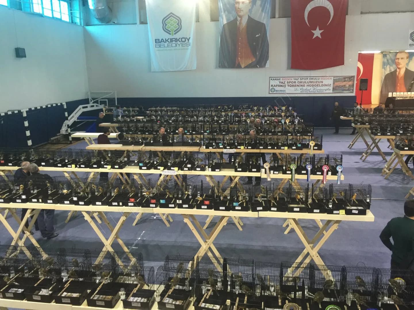 IYCC 2017 yarışmasında orta sırada rozet takılmış kafesler, arka planda kupaların dizildiği sahne