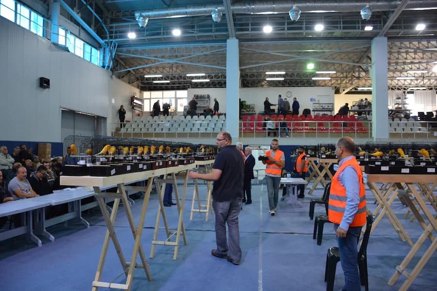 IYCC 2018 yarışmasında spor salonunda sehpalara dizili kafes sıraları, turuncu yelekli görevliler ve oturan izleyiciler