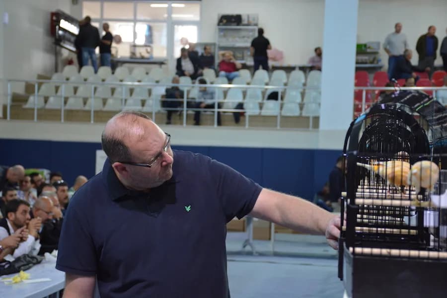 IYCC 2018 yarışmasında siyah polo tişörtlü bir kişi açık renkli kanaryaların olduğu bir kafese uzanıyor; arkada tribünler