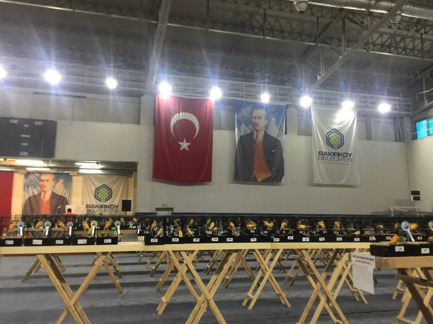 Rows of show cages on wooden benches beneath the Turkish flag, an Atatürk portrait and a Bakırköy municipality banner.