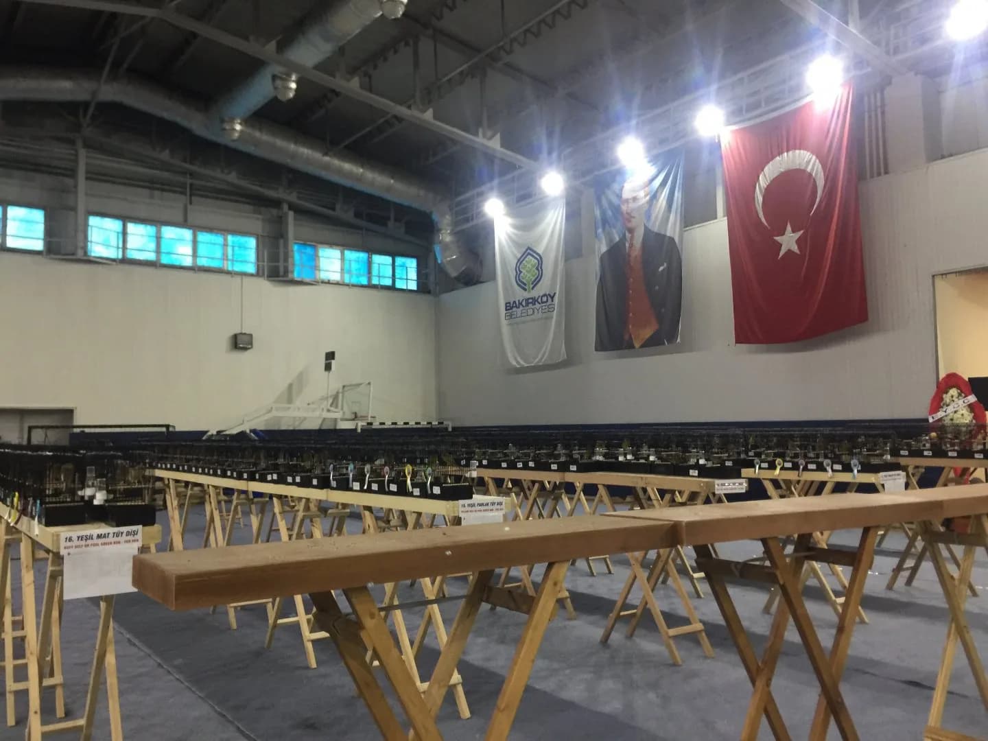 Cage rows stretching across the sports hall at the IYCC 2021 show, with a category card for green buff hens.