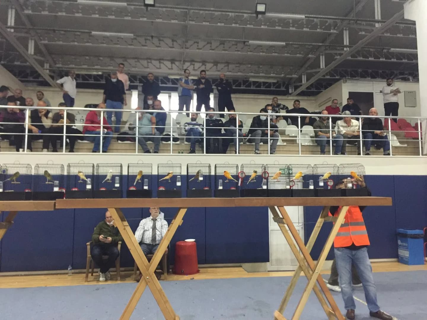 Spectators in the stands watch a row of show cages as a steward in an orange vest lifts one of the cages.
