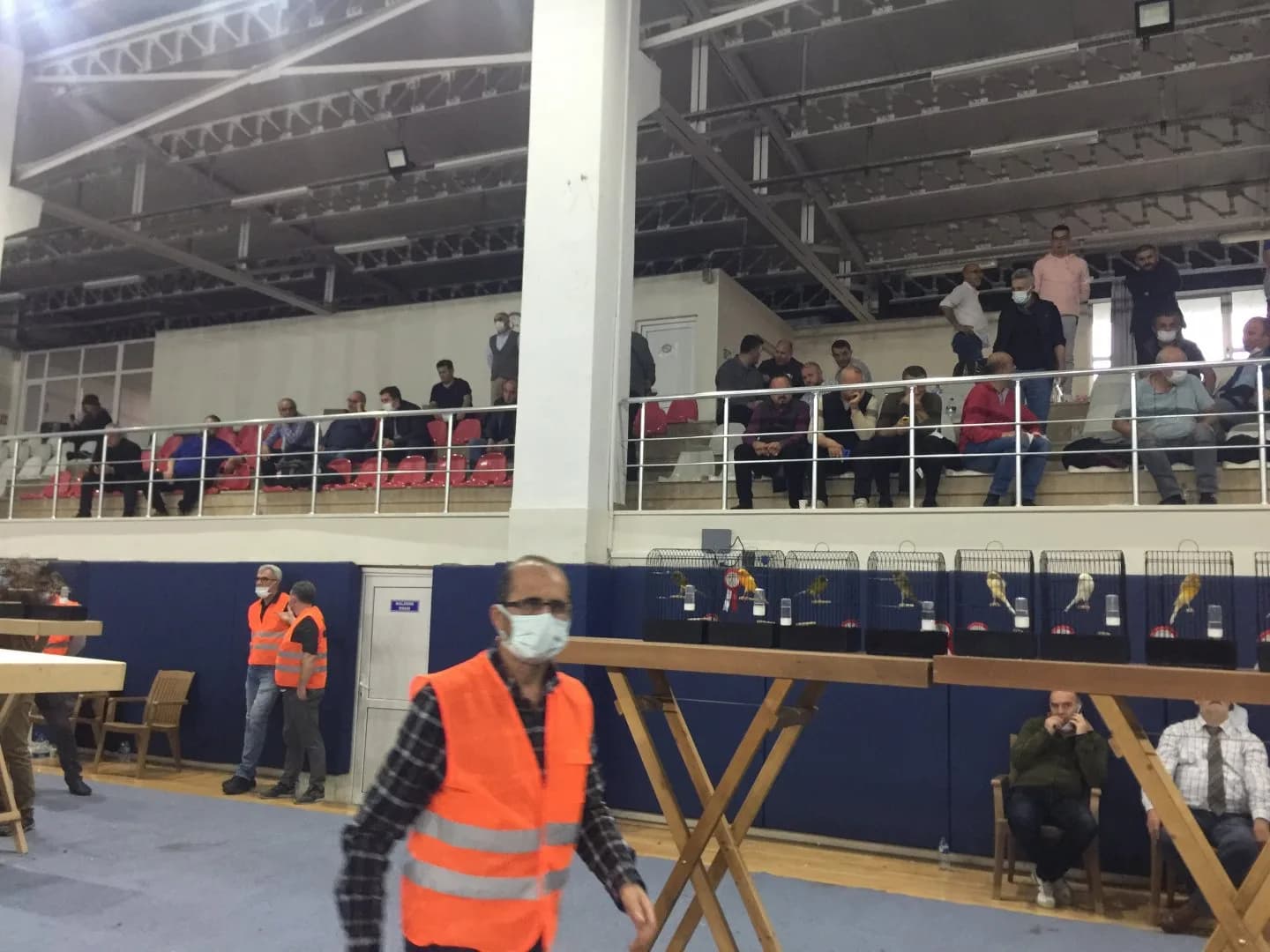 Masked stewards in orange vests at the IYCC 2021 show, with spectators in the stands and a row of cages behind.