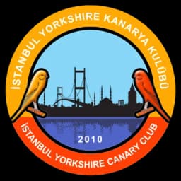 İSTANBUL YORKSHIRE CANARY CLUB amblemi